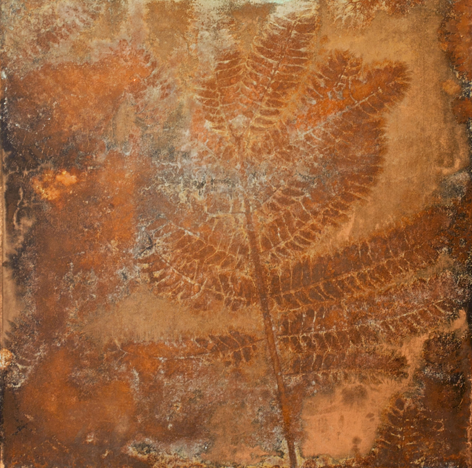 Federico Gori, Di fragilità e potenza, 2013, incisioni e ossidazioni naturali su rame, cm. 32,5x32,5 Galleria Bonioni Arte